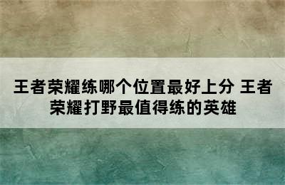 王者荣耀练哪个位置最好上分 王者荣耀打野最值得练的英雄